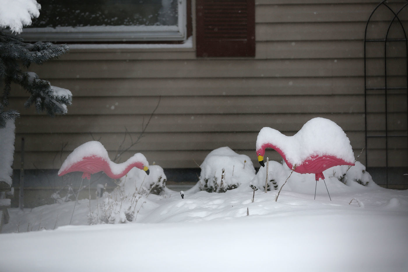 Snow